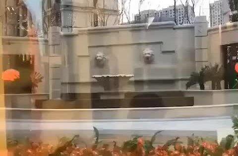 维也纳小区最新爆料大同,大同神秘事件真相揭晓 第2张 维也纳小区最新爆料大同,大同神秘事件真相揭晓 第2张